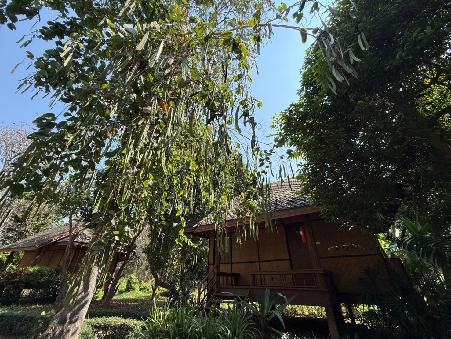 Baan Krating - Sha