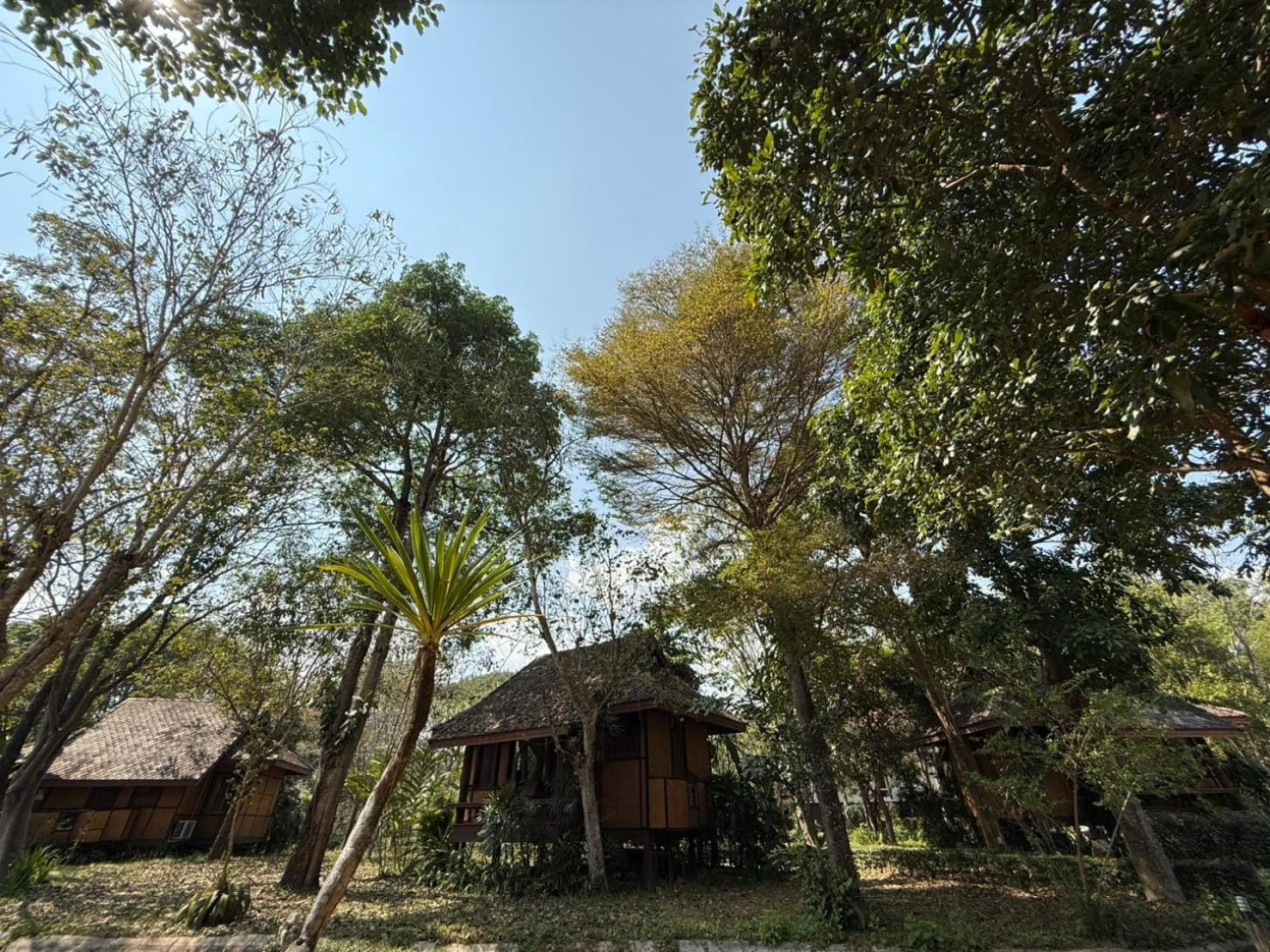 Resor Baan Krating - Sha