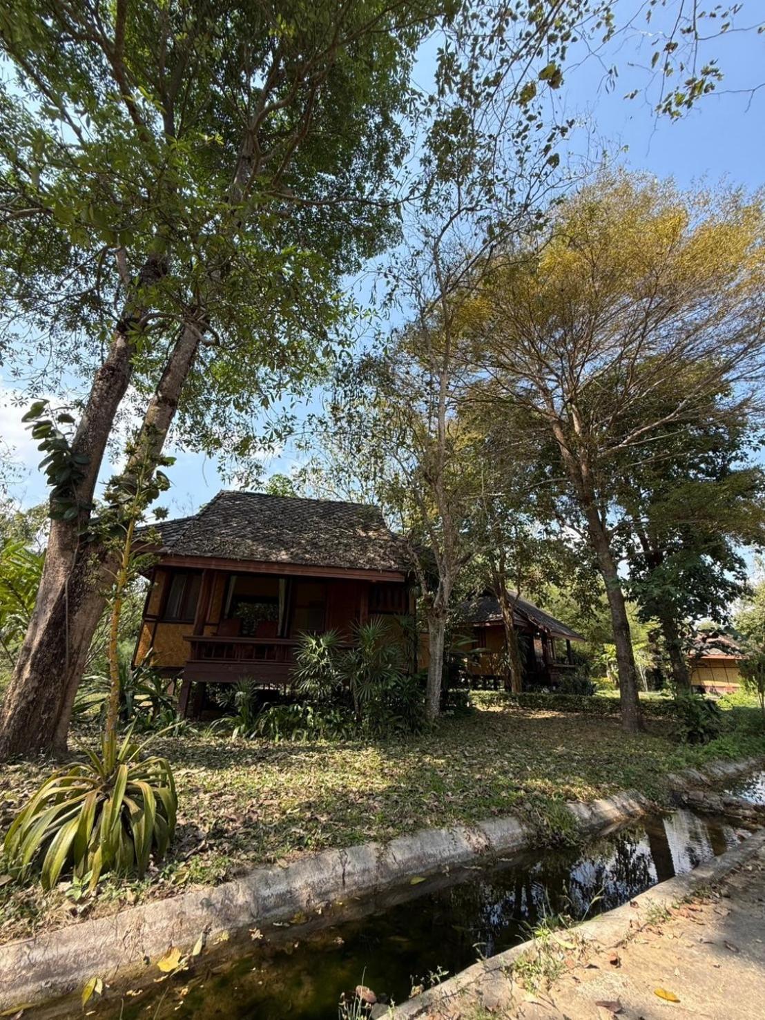 度假村 班卡拉庭派度假村 拜县