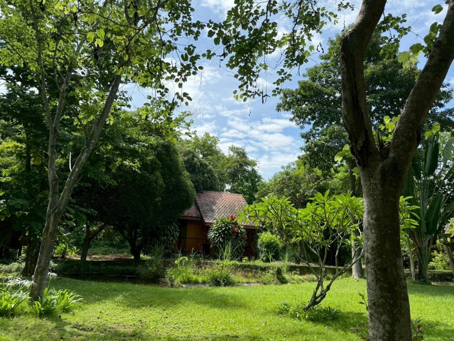 โรงแรมบ้านกระทิง รีสอร์ท ปาย